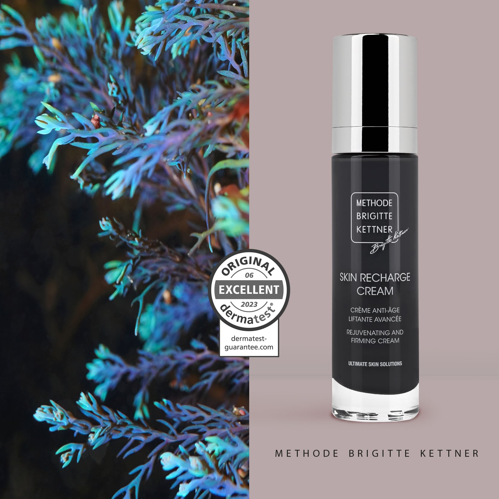 Skin Recharge Concentrate 30ml